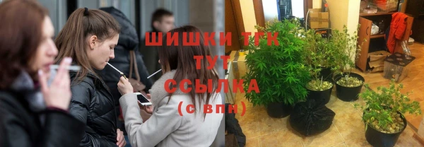 ГАЛЛЮЦИНОГЕННЫЕ ГРИБЫ Иннополис