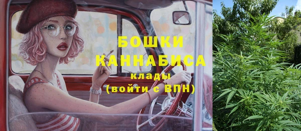ГАЛЛЮЦИНОГЕННЫЕ ГРИБЫ Иннополис