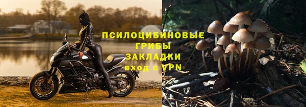 гашик Каменск-Шахтинский