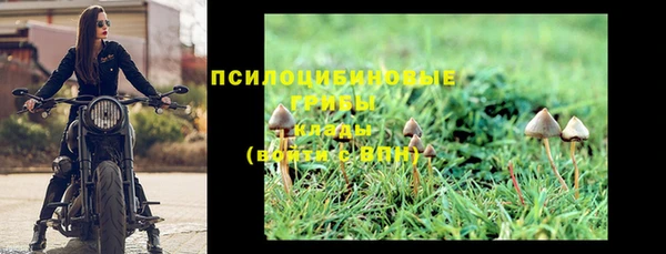 мдма Каменногорск