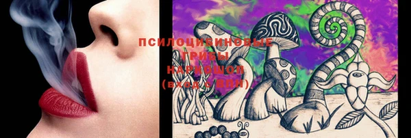 ГАЛЛЮЦИНОГЕННЫЕ ГРИБЫ Зеленодольск