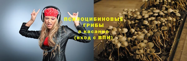 ГАЛЛЮЦИНОГЕННЫЕ ГРИБЫ Иннополис