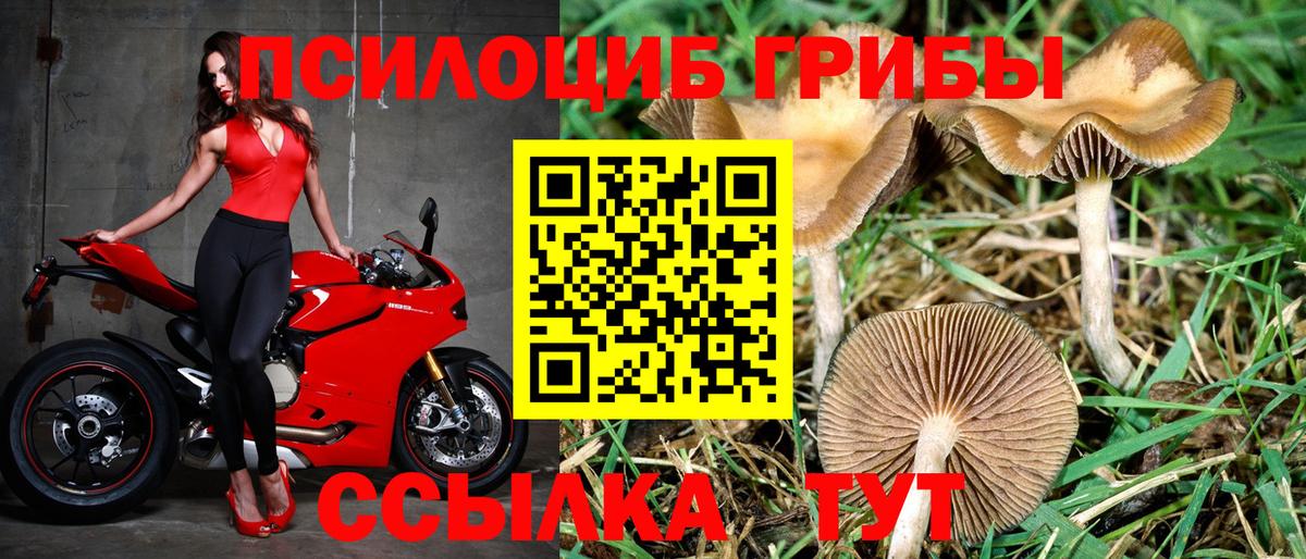 Псилоцибиновые грибы GOLDEN TEACHER  Вход с VPN  Истра 